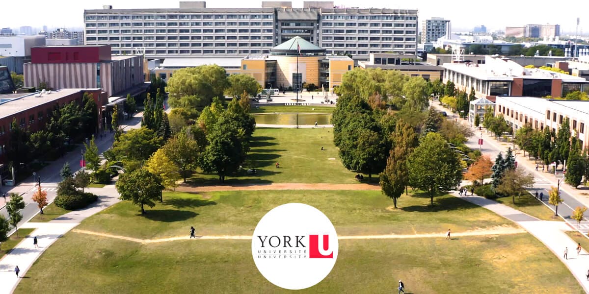 York University